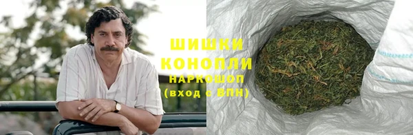 сатива Инта