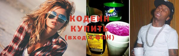 сатива Инта