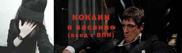 ALPHA PVP Инсар