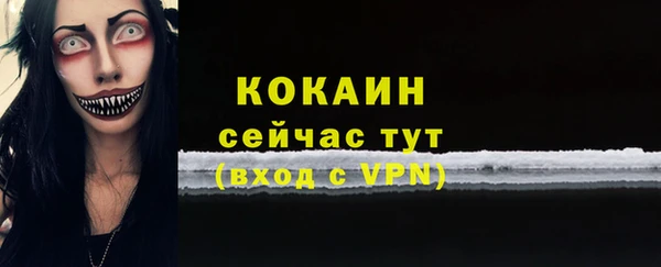 сатива Инта
