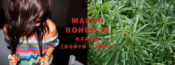 сатива Инта