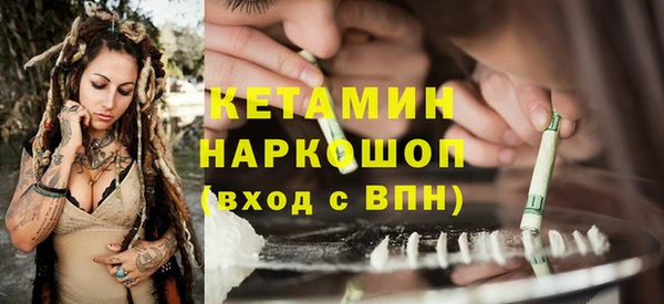 сатива Инта
