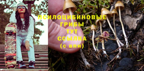 сатива Инта