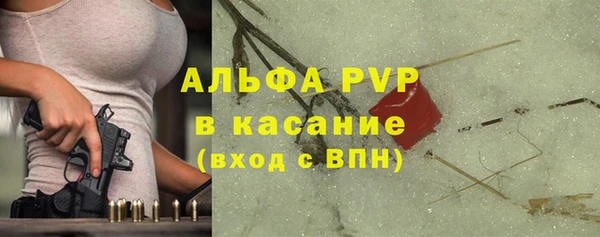 сатива Инта