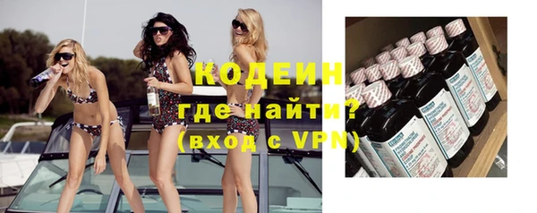 сатива Инта