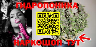 скорость Анапа