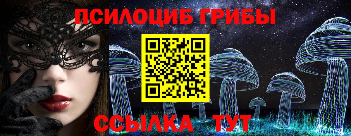 Галлюциногенные грибы Cubensis Лобня