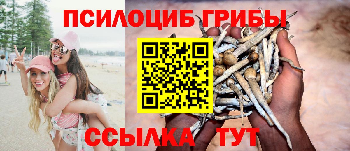 Галлюциногенные грибы прущие грибы  Вход с VPN  Галлюциногенные грибы мицелий  Лобня 